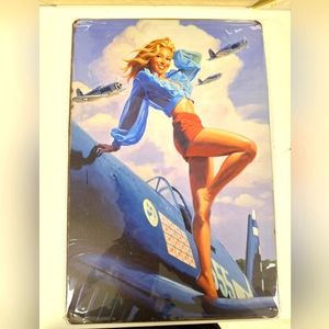 Pin-up metal poster- New in package